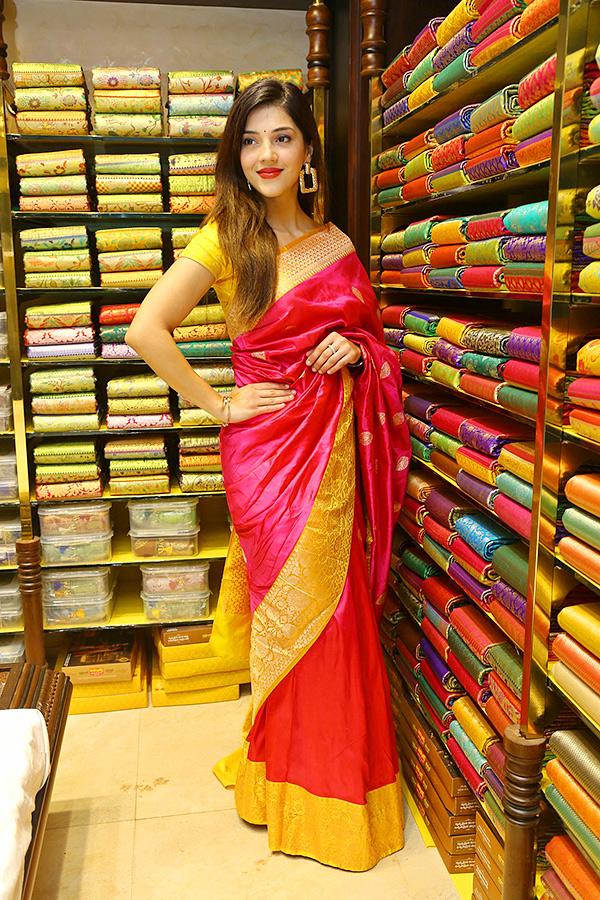 Honey-Rose-Mehreen-At-Zahirabad-Shopping-Mall-Opening-Photos-7.jpg 7