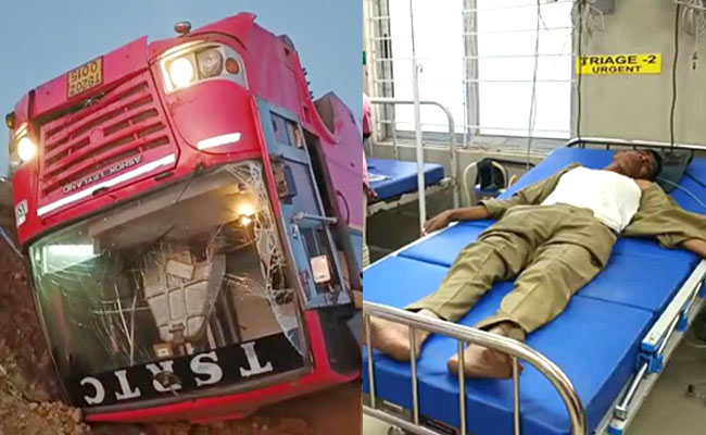 bus.jpg