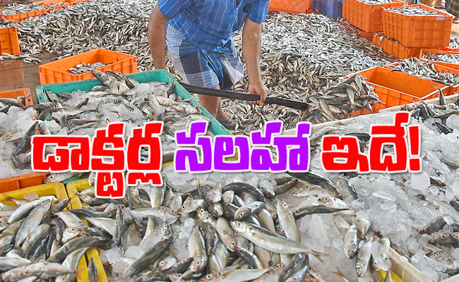 sea-fish6.jpg