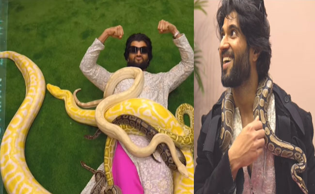 vijay-devarakonda.jpg