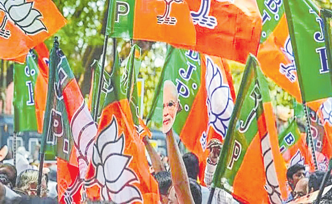 BJP--FLAGS-1.jpg