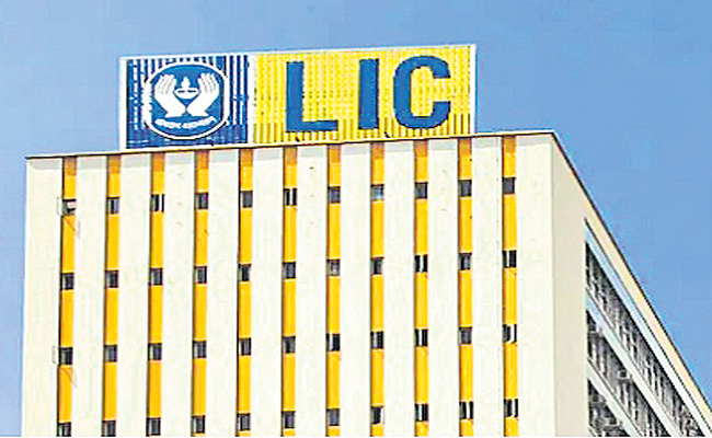 LIC12.jpg