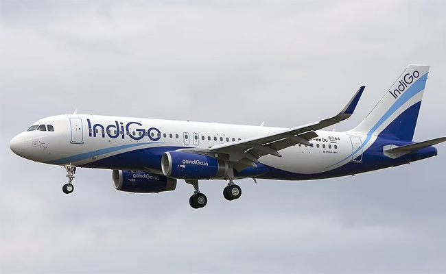 indigo.jpg