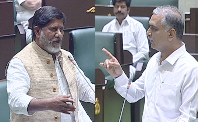 Harish-Rao.jpg