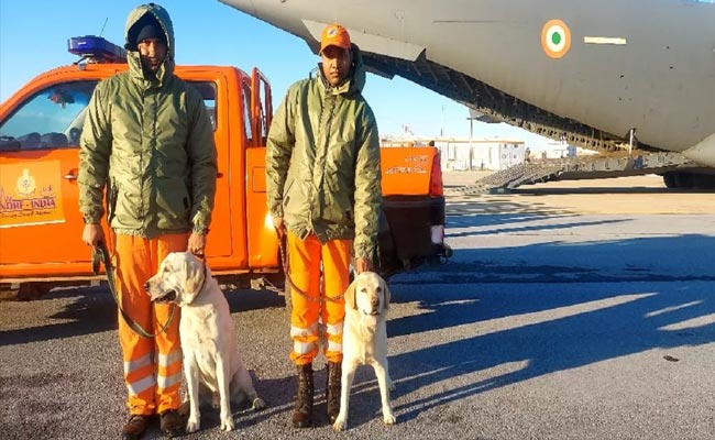 Indian-Dog-Squad.jpg