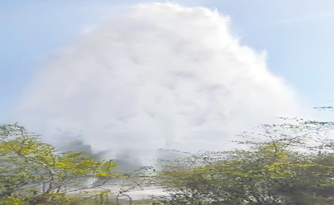 DEVADULA.jpg