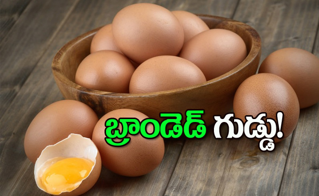 Eggs.jpg