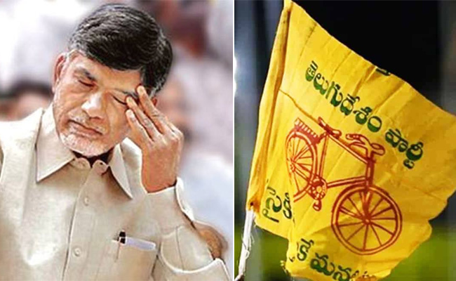 TDP-flag.jpg