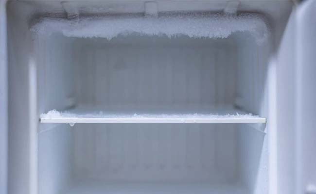 Freez.jpg