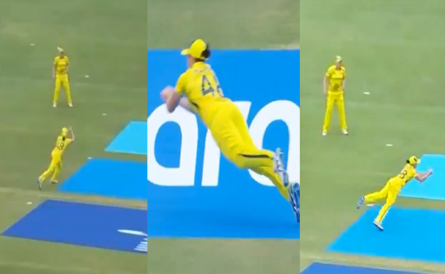 Catch.jpg