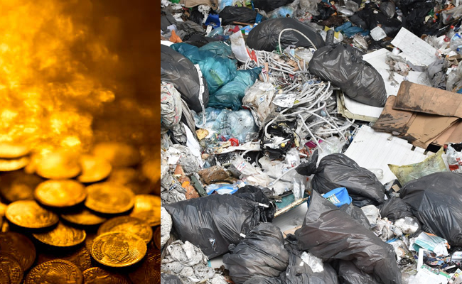 gold_Coin_Garbage_JK.jpg