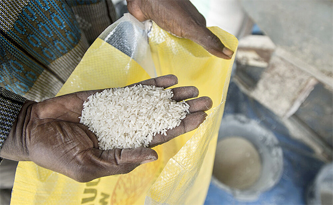Fortified-Rice.jpg