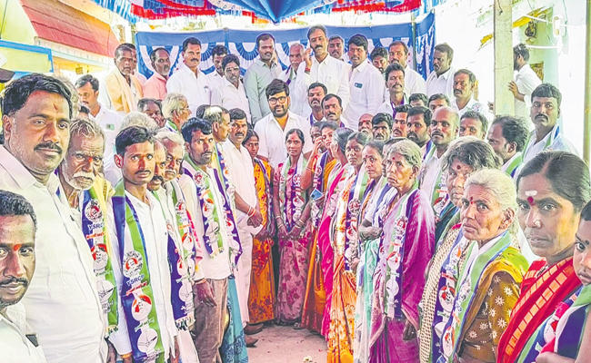 ycp.jpg