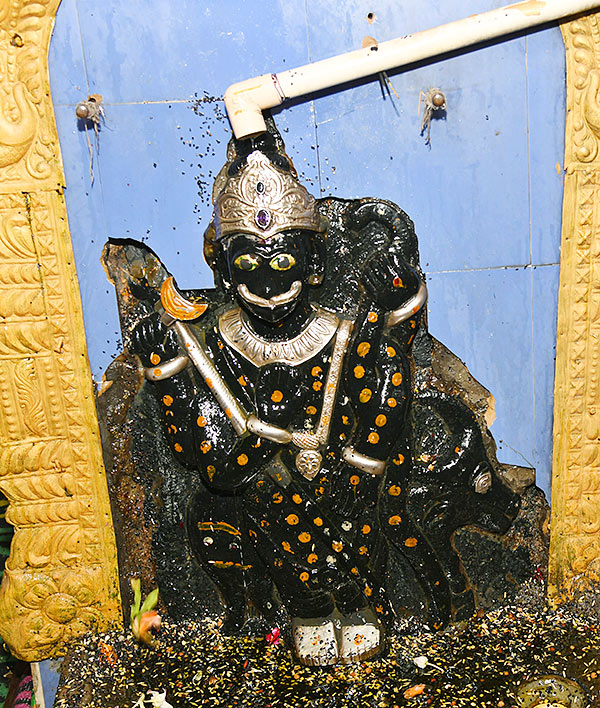 Mahashivratri_202023_20Celebrations_20Telugu_20states-31.jpg 30