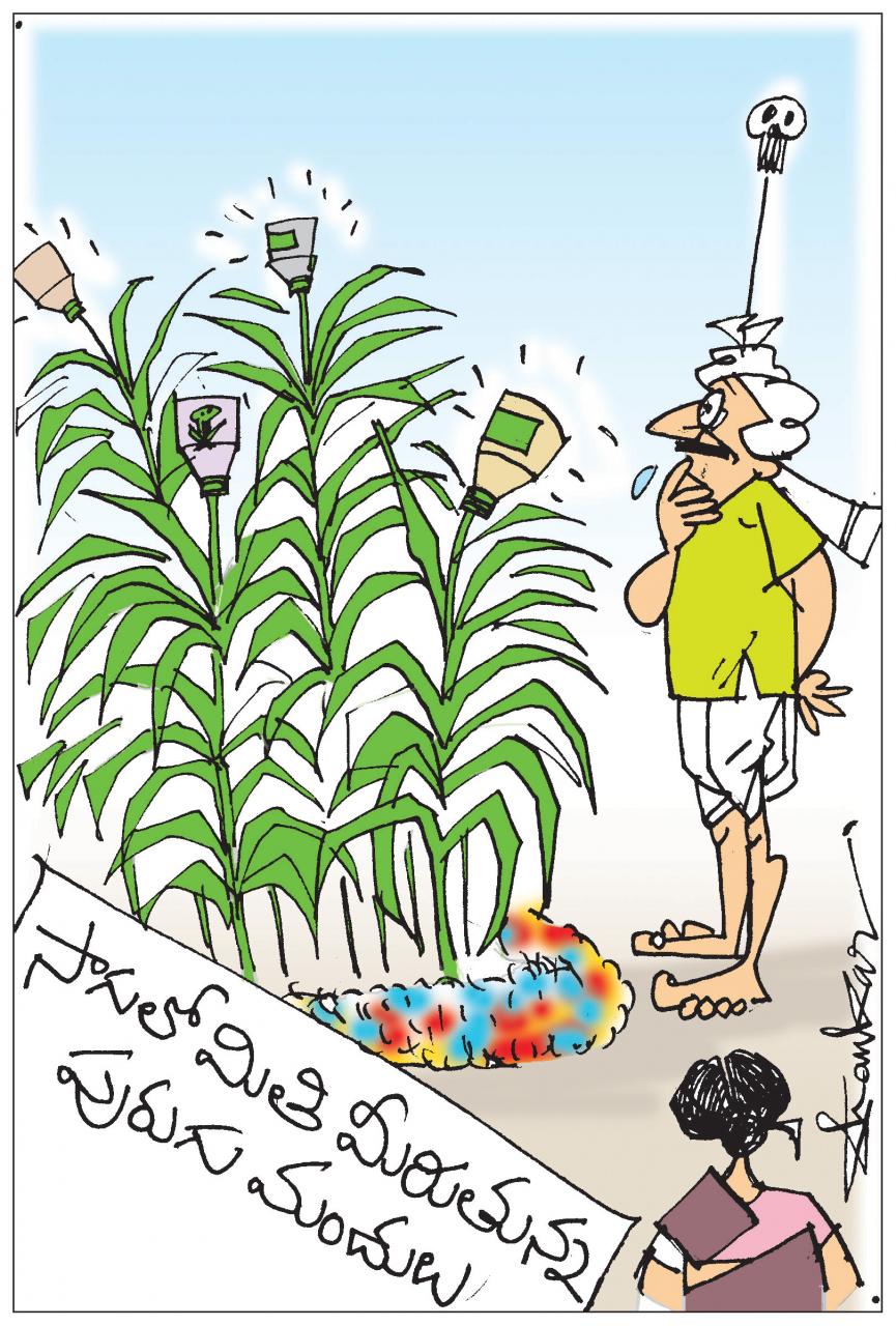 Pesticides-Overuse.jpg