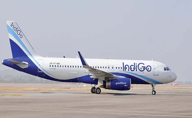 indigo.jpg