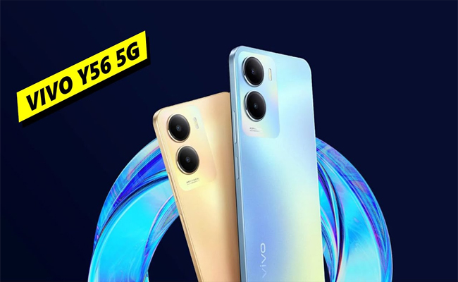 vivo.jpg