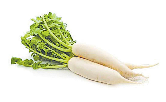 raddish.jpg