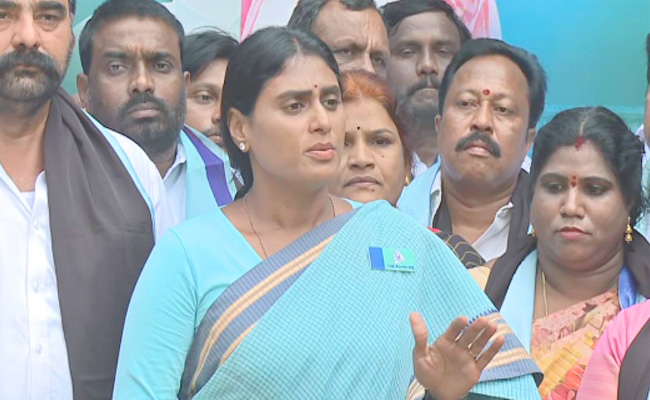 sharmila.jpg