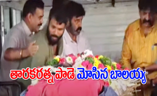 Tarak7.jpg