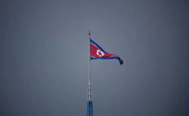 south5.jpg
