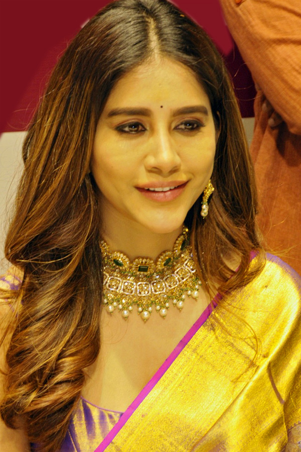 Nabha_20Natesh_20At_20Nizamabad_20Photo_20Gallery_1.jpg 6