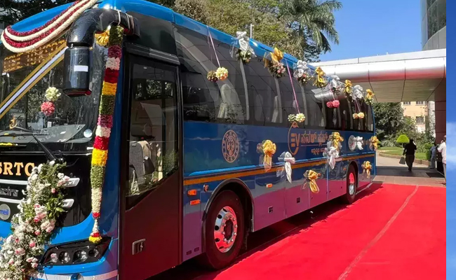 bus_0.jpg