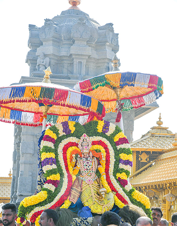 Yadadri_20Brahmotsavams_202023_20Photos-24.jpg 24