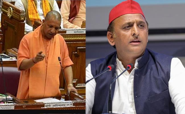 CM-Yogi.jpg