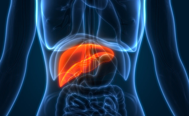 Liver-cancer.jpg