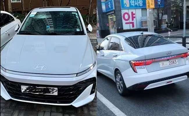 2023_20verna_202.jpg