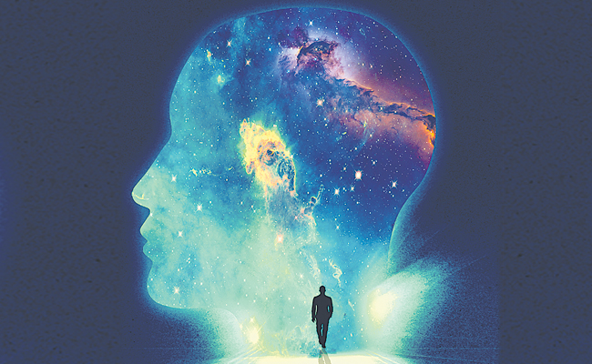 brain.jpg
