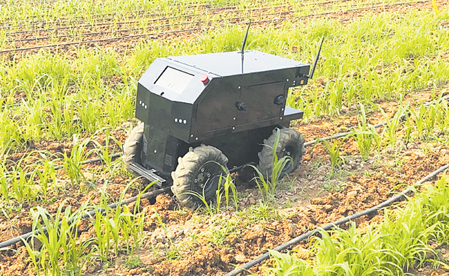 farm.jpg