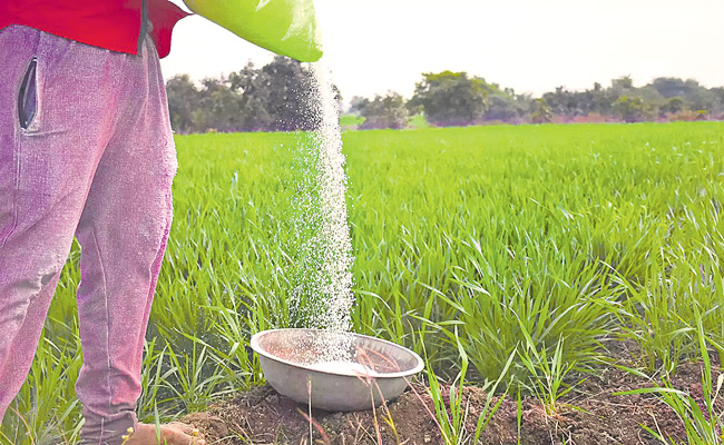 FERTILISER-IMPORTED.jpg