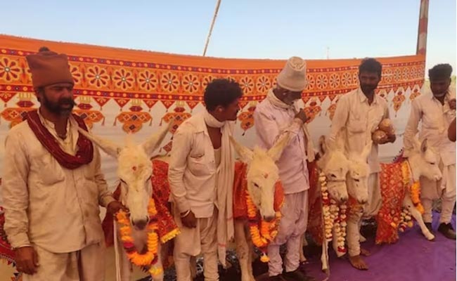 Seemantham-For-Donkeys-In-R.jpg
