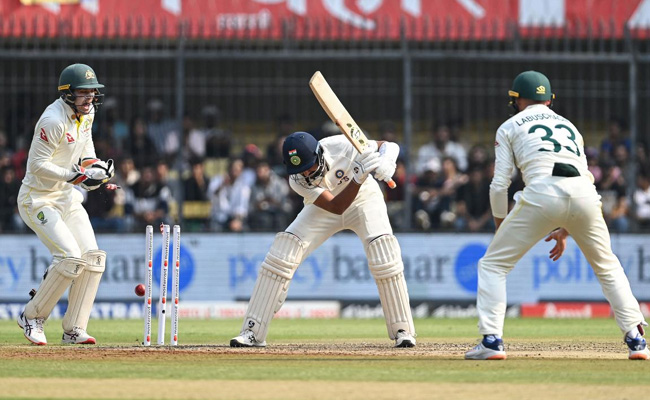 indvsaus.jpg