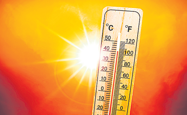 summer.jpg