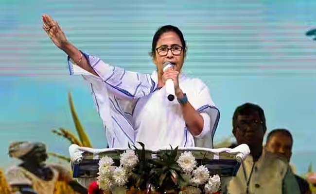 mamata.jpg