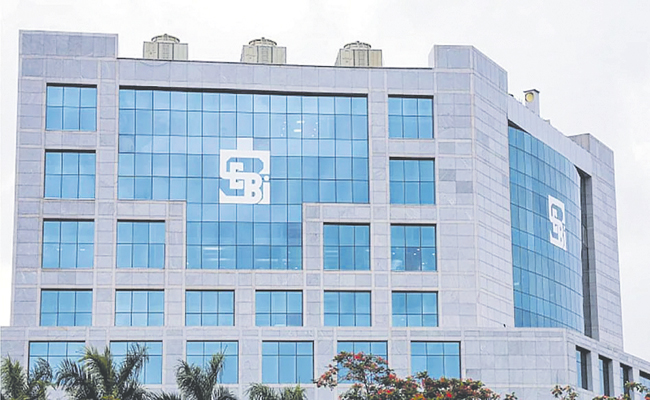 sebi-1.jpg