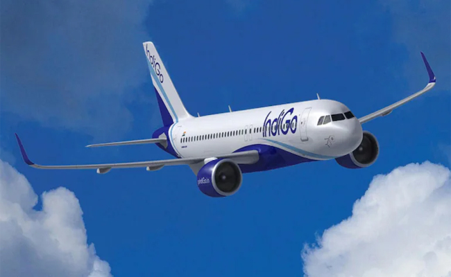 indigo.jpg