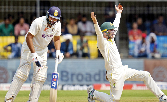 indvsaus1.jpg