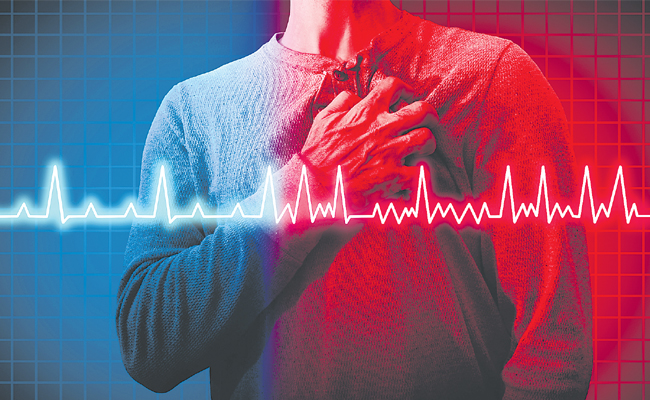 heart.jpg