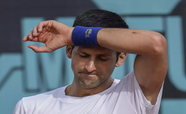 NOVAK.jpg