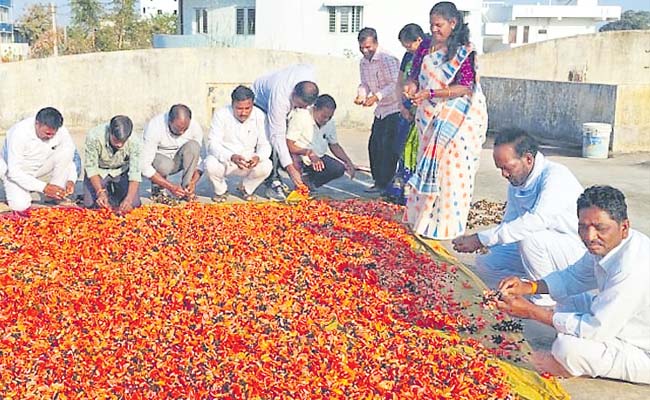holi.jpg