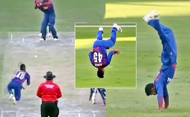 Cricket.jpg