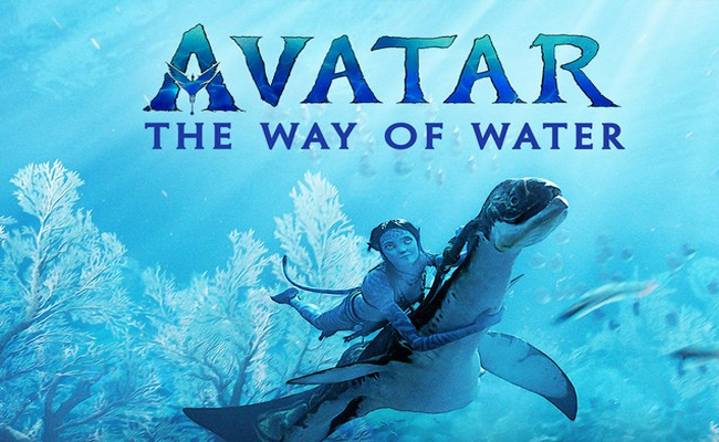 avatar-2.jpg