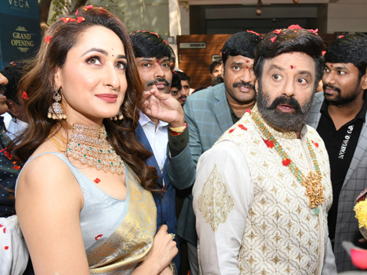 Jewellery_20Showroom_20Grand_20Opening_20By_20Balakrishna_20Photos-11.jpg 11