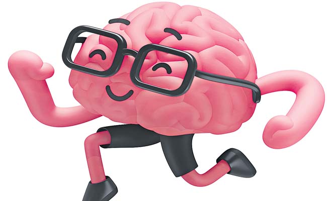 brain.jpg