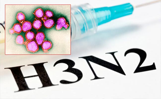 H3n2.jpg