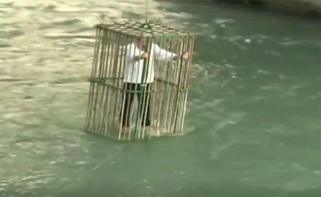 cage5.jpg